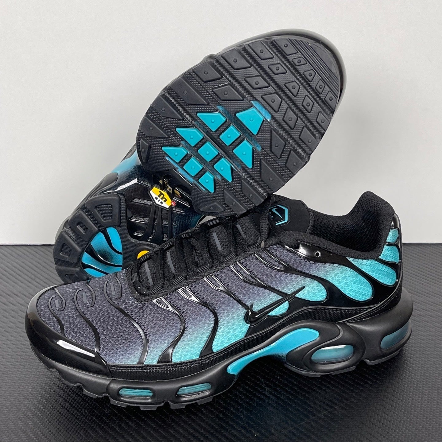 TN "Black Dusty Cactus"