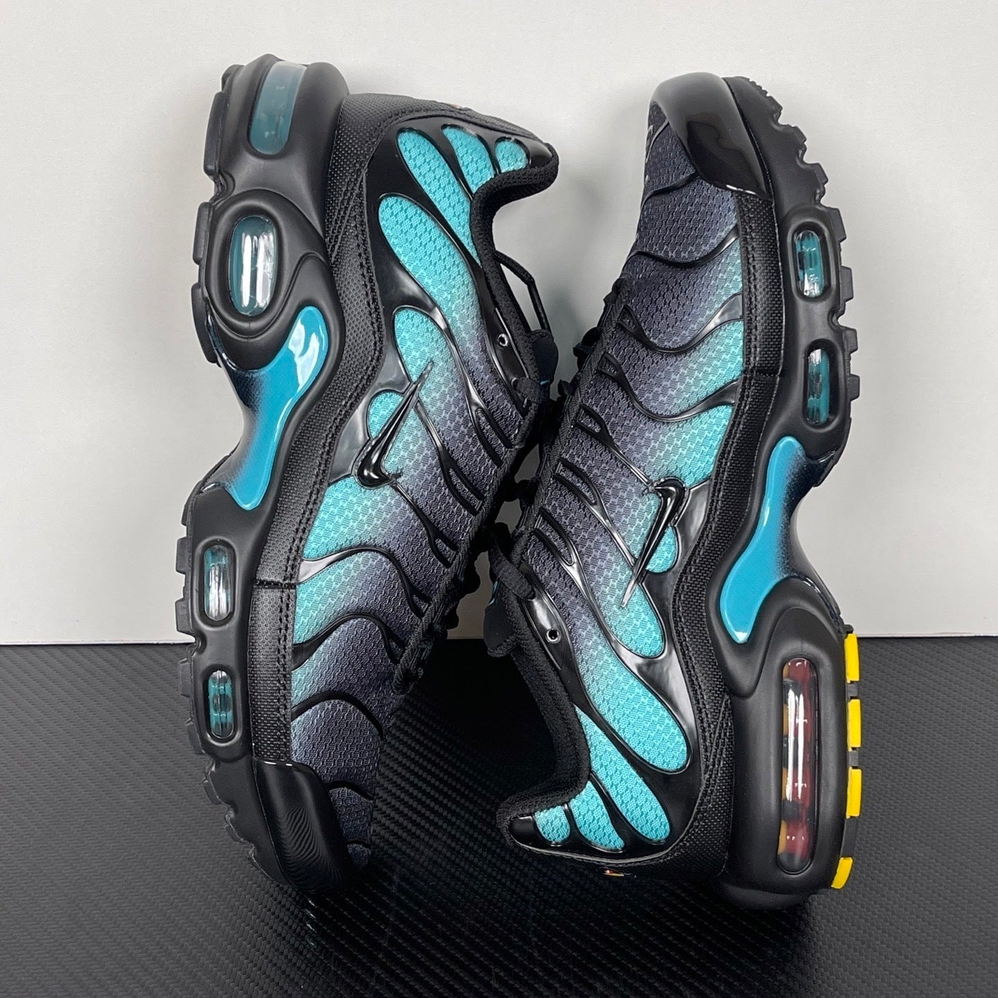 TN "Black Dusty Cactus"