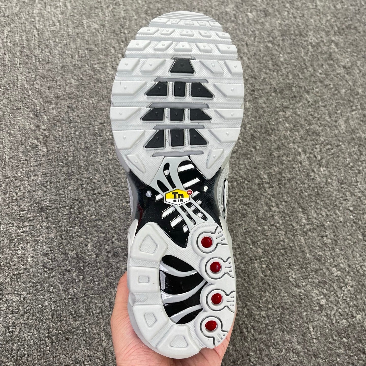 TN "Wolf Grey"