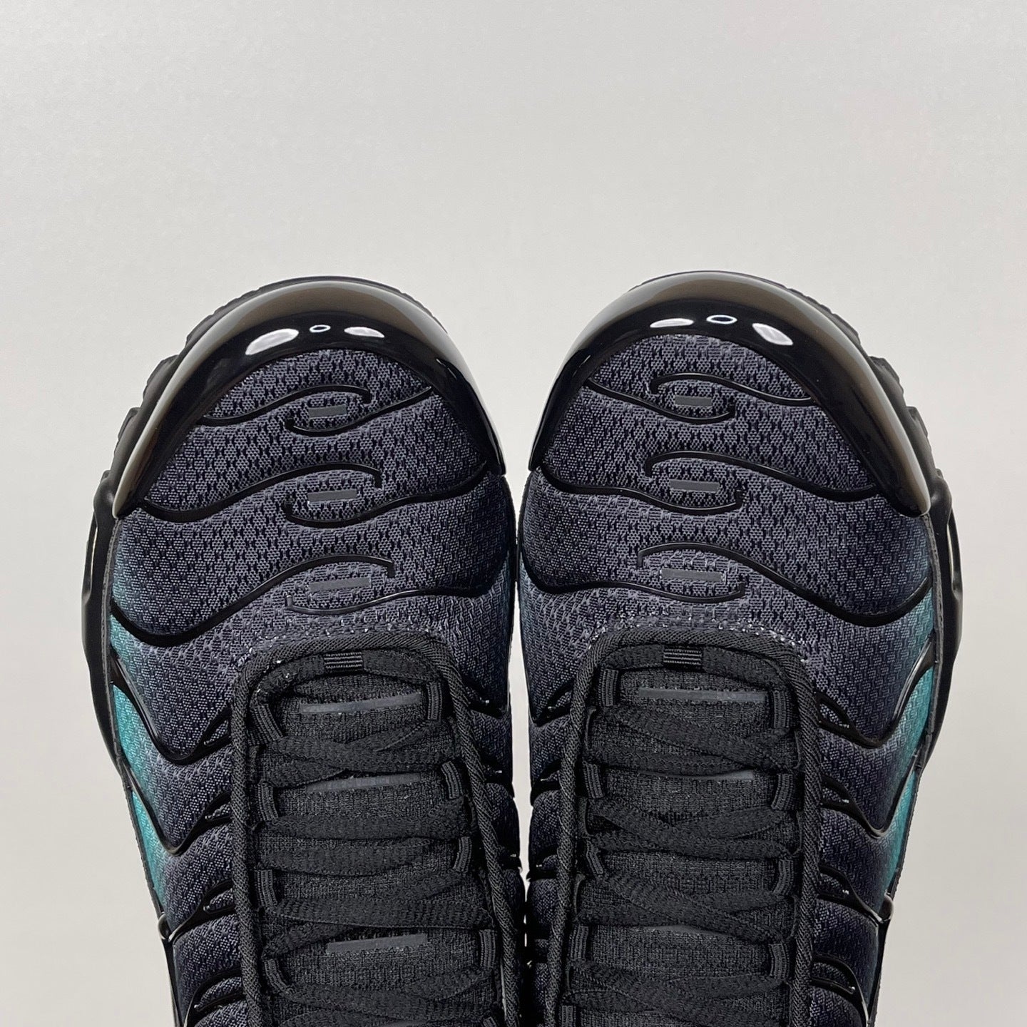 TN "Black Dusty Cactus"